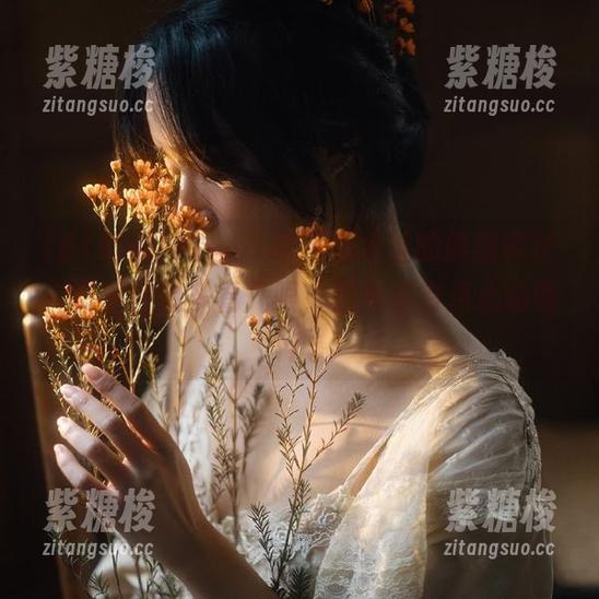 咦，51吃瓜新地址的胖猫真让人忍不住想多看几眼，是不是有点心动呢？