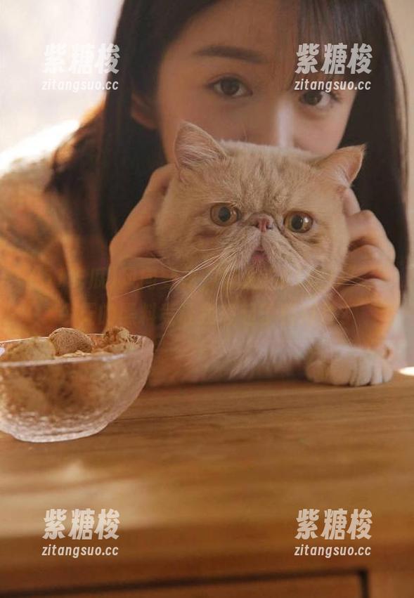 风向变化，登入“51吃瓜”，今天的黑料竟让我想起了科幻片？