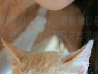 吃瓜季来临，最新粮草已到，“51黑料”陪你刷瓜，不展开真不晓得有多欢乐！