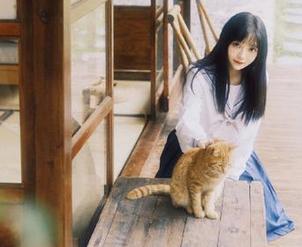 又是一个夜晚，黑料不打烊,万里长征传，网页的指针也在转啊。