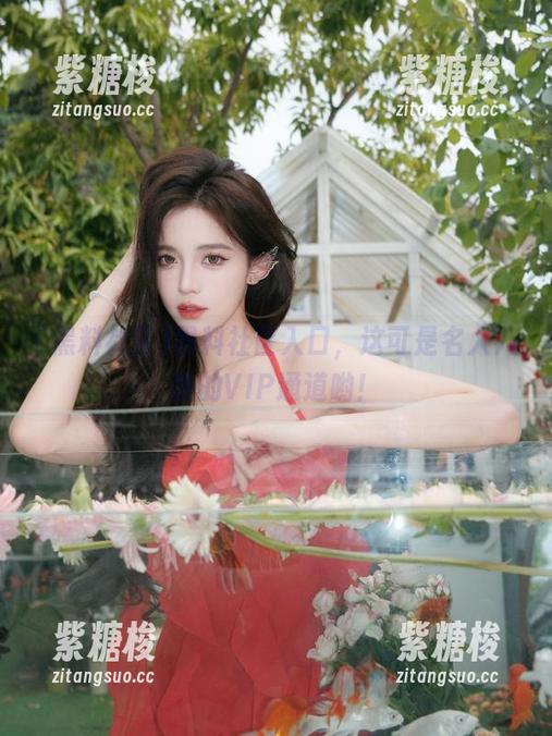 黑料社区 黑料社区入口,这可是名人八卦的VIP通道哟!